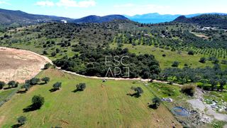 Οικόπεδο 9.121 τ.μ. για πώληση, Αργολίδα, Ερμιόνη-thumb-2