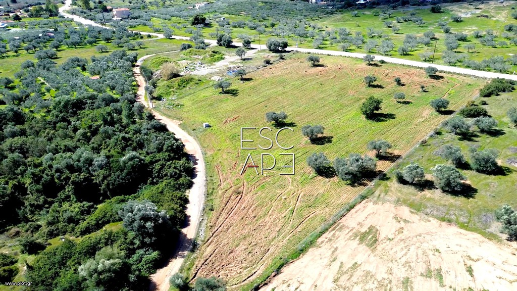 Οικόπεδο 9.121 τ.μ. προς πώληση, Αργολίδα, Ερμιόνη