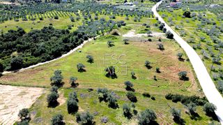 Οικόπεδο 9.121 τ.μ. για πώληση, Αργολίδα, Ερμιόνη-thumb-5