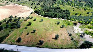 Οικόπεδο 9.121 τ.μ. για πώληση, Αργολίδα, Ερμιόνη-thumb-6