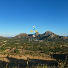 Αγροτεμάχια 17.108 τ.μ. για πώληση