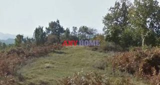Αγροτεμάχια 6.019 τ.μ. για πώληση