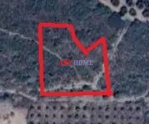 Parcel 8.000 sqm for sale, Chalkidiki, Poligiros