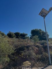 Οικόπεδο 364 τ.μ. πρός πώληση, Εύβοια, Αρτεμίσιο-thumb-3