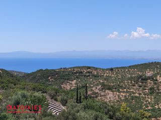 Οικόπεδο 4.011 τ.μ. για πώληση