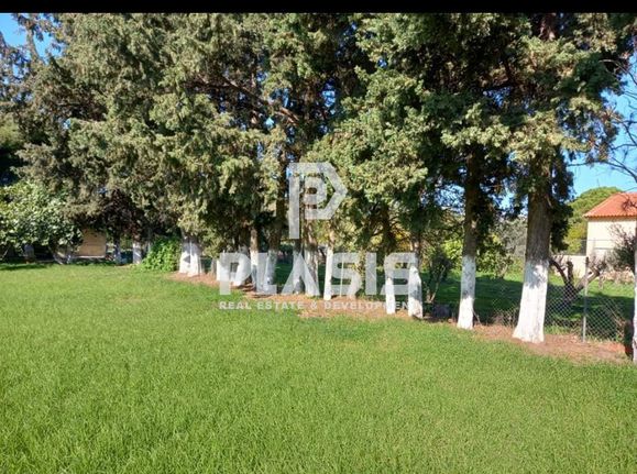 Parcel 7.000 sqm for sale, Athens - East, Marathonas