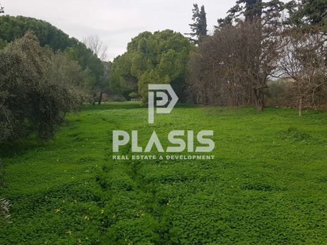 Αγροτεμάχια 3.250τ.μ. για πώληση-Μαραθώνας