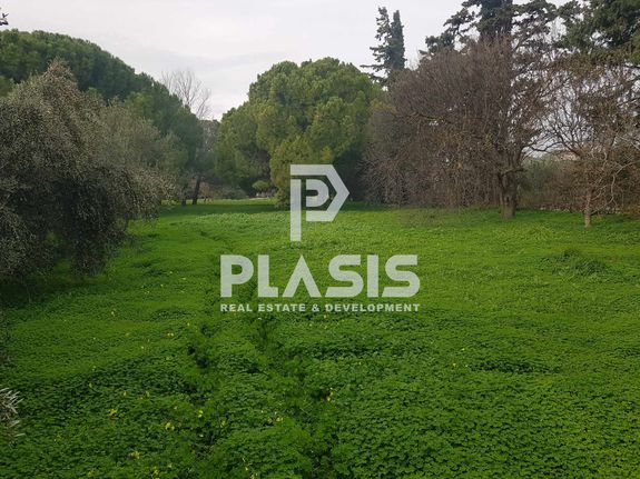 Parcel 3.250 sqm for sale, Athens - East, Marathonas