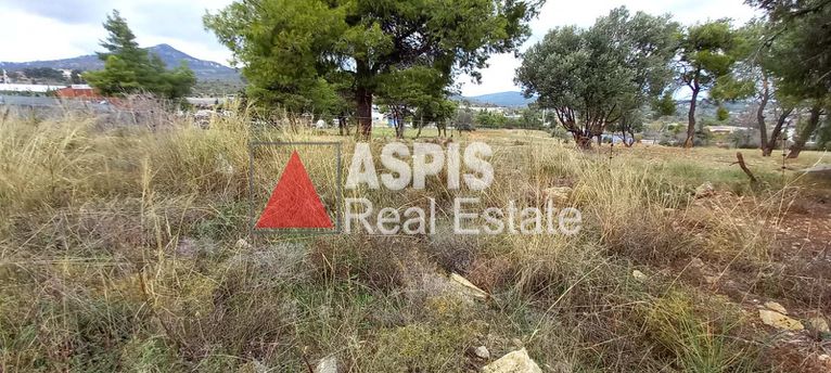 Οικόπεδο 3.300 τ.μ. πρός πώληση