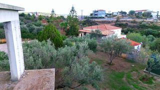 Μονοκατοικία 259 τ.μ. για πώληση, Αργολίδα, Κρανίδι-thumb-19