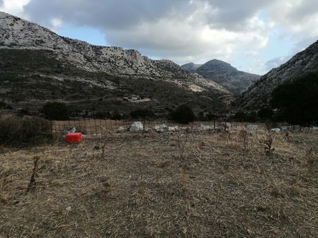 Αγροτεμάχια 15.000 τ.μ. για πώληση