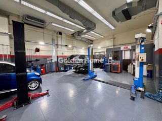 Business 350 sqm for sale