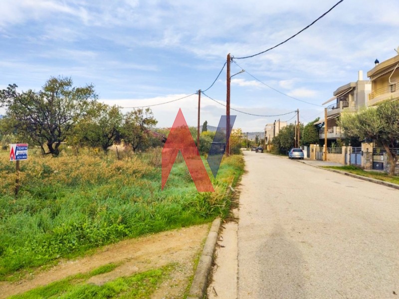 Οικόπεδο 580 τ.μ. πρός πώληση, Μαγνησία, Βόλος