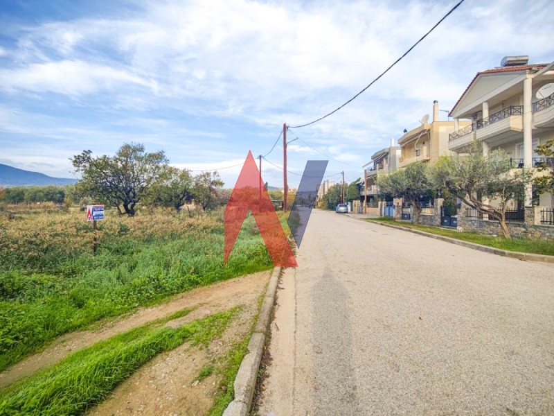 Οικόπεδο 580 τ.μ. πρός πώληση, Μαγνησία, Βόλος