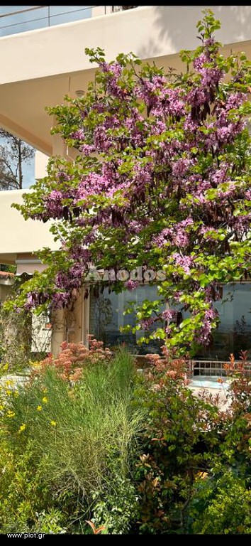 Διαμέρισμα 190 τ.μ. πρός ενοικίαση, Αθήνα - Βόρεια Προάστια, Κηφισιά