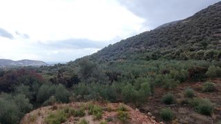 Οικόπεδο 2.137 τ.μ. για πώληση