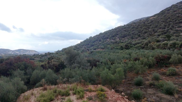 Οικόπεδο 2.137 τ.μ. για πώληση, Ν. Ρεθύμνου, Γεροπόταμος