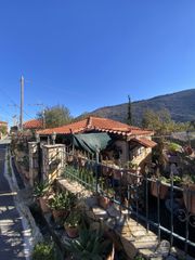 Μονοκατοικία 70 τ.μ. για πώληση, Μεσσηνία, Αετού-thumb-27