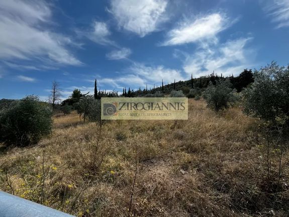 Land plot 6.868 sqm for sale, Athens - East, Marathonas