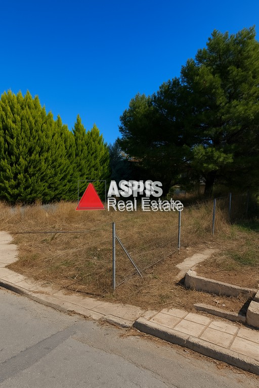 Οικόπεδο 568,73 τ.μ. προς πώληση, Ραφήνα
