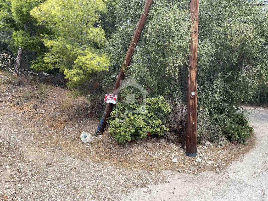 Αγροτεμάχια 1.100 τ.μ. προς πώληση, Περιστέρια Σαλαμίνας