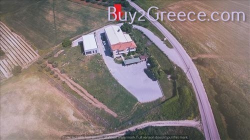 Αγροτεμάχια 10.000 τ.μ. προς πώληση, Πετράλωνα Τρίγλιας