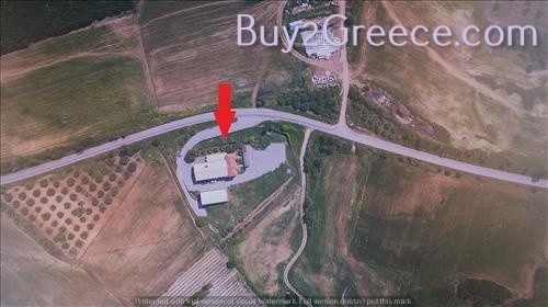 Αγροτεμάχια 10.000 τ.μ. προς πώληση, Πετράλωνα Τρίγλιας