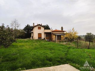 Μονοκατοικία 289 τ.μ. για πώληση