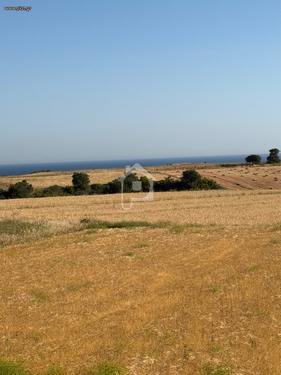 Αγροτεμάχια 3.000 τ.μ. προς πώληση, Καμαριώτισσα