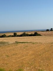 Αγροτεμάχια 3.000 τ.μ. για πώληση, Εβρος, Σαμοθράκη-thumb-3