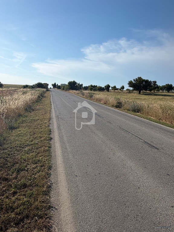 Αγροτεμάχια 3.000 τ.μ. προς πώληση, Καμαριώτισσα