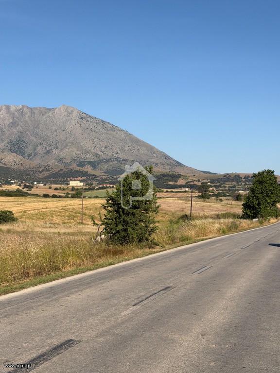 Αγροτεμάχια 3.000 τ.μ. προς πώληση, Καμαριώτισσα