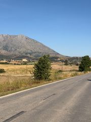 Αγροτεμάχια 3.000 τ.μ. για πώληση, Εβρος, Σαμοθράκη-thumb-5