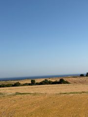 Αγροτεμάχια 3.000 τ.μ. για πώληση, Εβρος, Σαμοθράκη-thumb-6