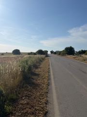 Αγροτεμάχια 3.000 τ.μ. για πώληση, Εβρος, Σαμοθράκη-thumb-7