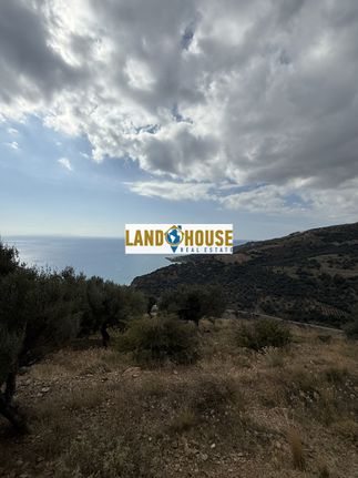 Αγροτεμάχια 39.000 τ.μ. για πώληση, Ν. Ρεθύμνου, Φοινίκας