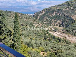 Μονοκατοικία 241 τ.μ. για πώληση