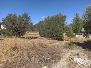 Οικόπεδο 445 τ.μ. για πώληση, Αττική - Υπόλοιπο, Μέγαρα-thumb-24