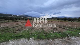 Αγροτεμάχια 5.500 τ.μ. για πώληση