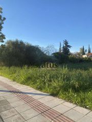 Οικόπεδο 2.800 τ.μ. για ενοικίαση