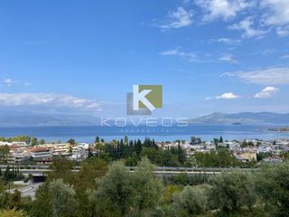 Οικόπεδο 19.117 τ.μ. για πώληση