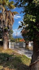 Αγροτεμάχια 4.147 τ.μ. για πώληση