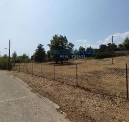 Οικόπεδο 7.099 τ.μ. για πώληση