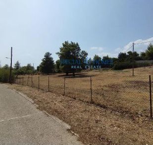 Land plot 7.099 sqm for sale, Athens - North, Kifisia