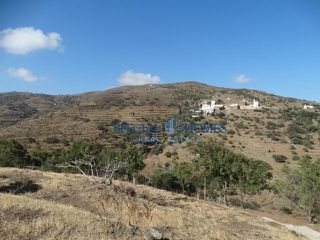 Οικόπεδο 2.656 τ.μ. για πώληση