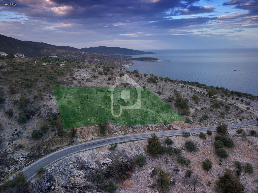 Οικόπεδο 6.122 τ.μ. προς πώληση, Θυμωνιά