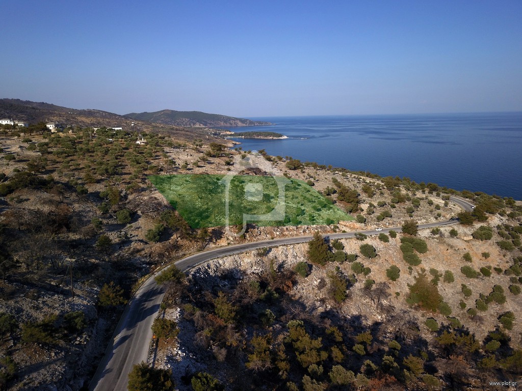 Οικόπεδο 6.122 τ.μ. προς πώληση, Θυμωνιά