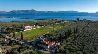 Αγροτεμάχια 10.000 τ.μ. για πώληση