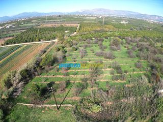 Οικόπεδο 8.230,47 τ.μ. για πώληση, Αργολίδα, Άργος-thumb-2
