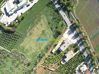 Οικόπεδο 8.230,47 τ.μ. για πώληση, Αργολίδα, Άργος-thumb-23